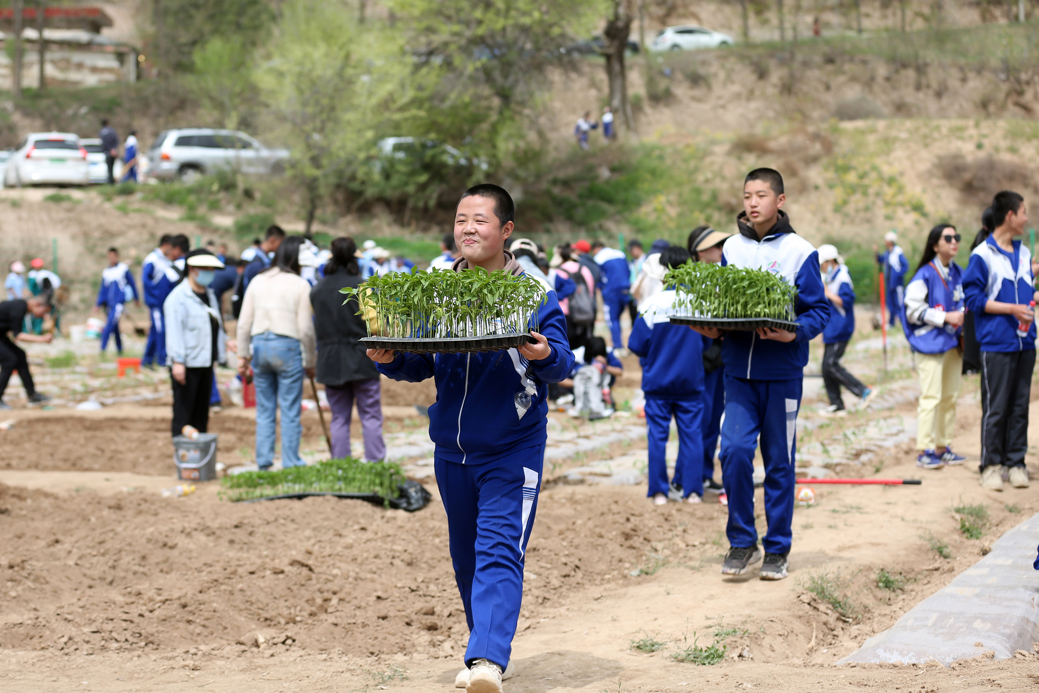 09——4月27日，在甘肅省平?jīng)鍪械谒闹袑W(xué)行知園學(xué)農(nóng)基地里，學(xué)生們在搬運(yùn)辣椒苗。.JPG