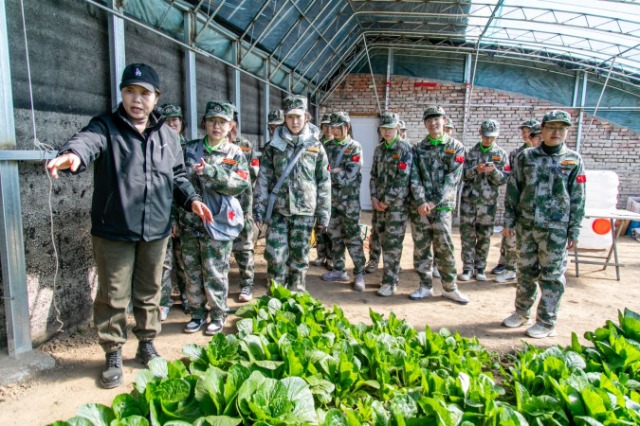 師生在第六埠村蔬菜大棚，了解蔬菜種植過程和常見病蟲害防治等知識。.jpg